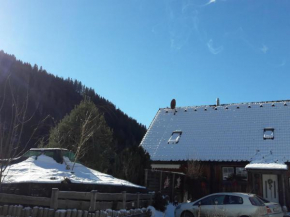 Chalet in Styria with infrared sauna